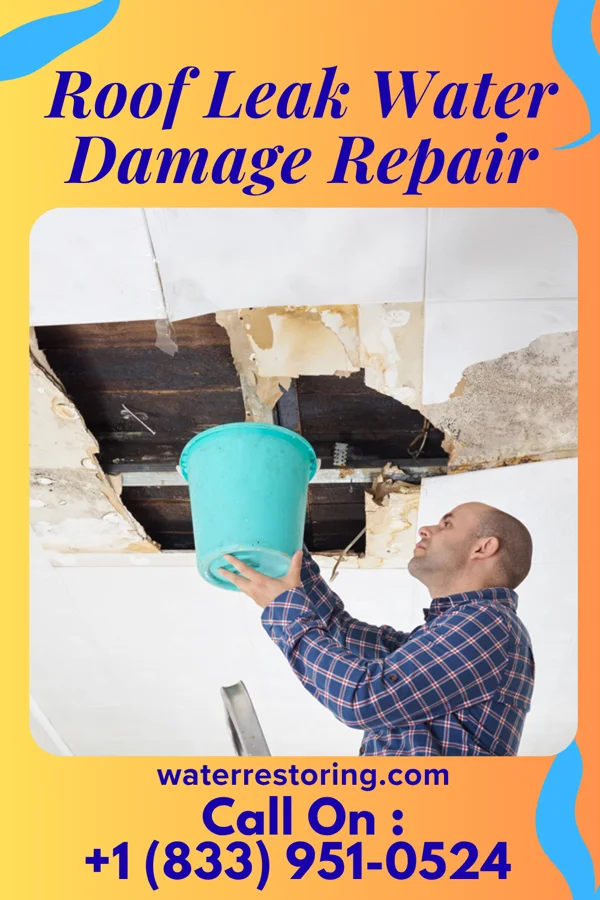 Roof Leak Water Damage Repair in Ruston, WA